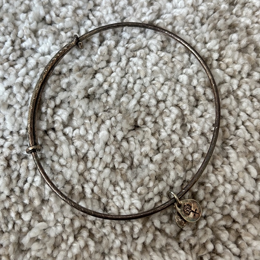 Alex and Ani bracelets set of 5 - Picture 3 of 3